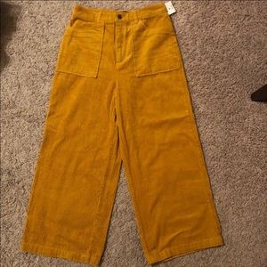Forever 21 yellow gold corduroy pants